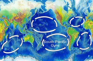 The five main oceanic gyres The five main oceanic gyres