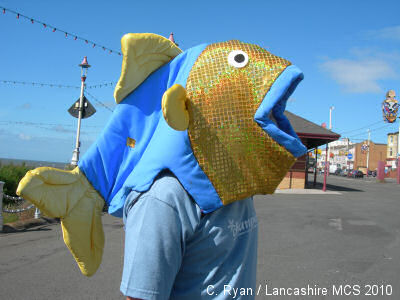 Fish head by Chrissie Ryan. Fish head by Chrissie Ryan.