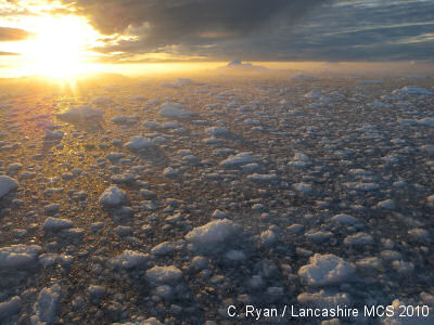 Greenland sea ice, by Chrissie Ryan Greenland sea ice, by Chrissie Ryan