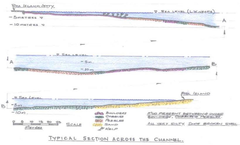 A sketched profile of the Piel Channel showing bottom characteristics and some of the typical species.
