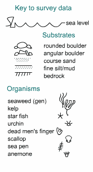 Key to survey data, showing symbols for common plants and animals.